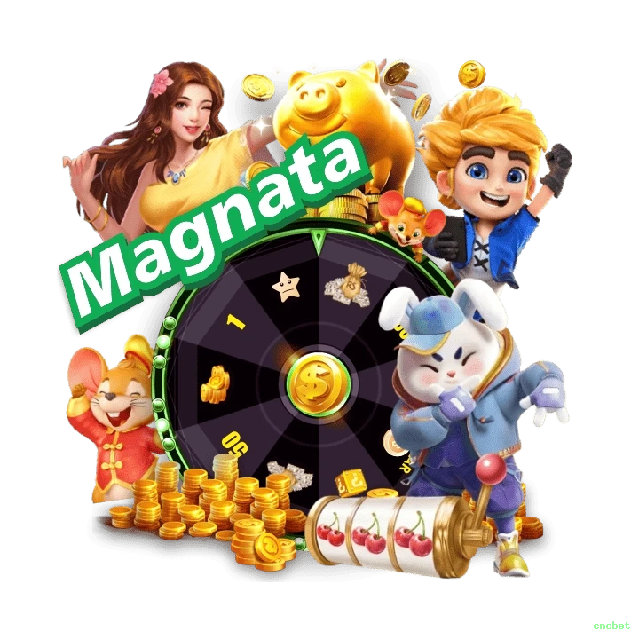 Sistemas de Segurança cncbet